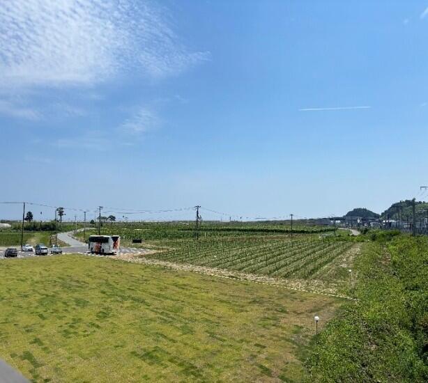 とみおかワイナリー