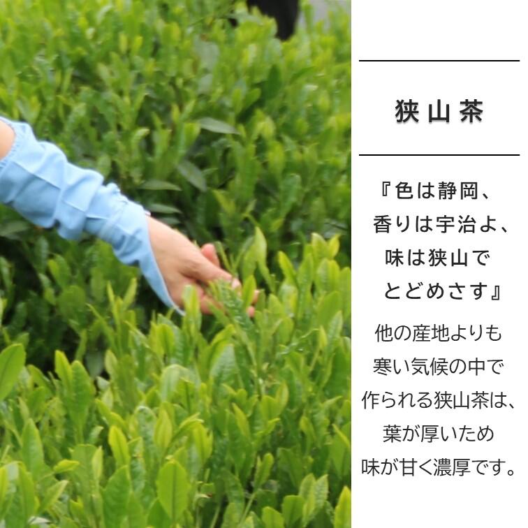 狭山茶