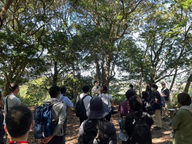 熊野古道Walking