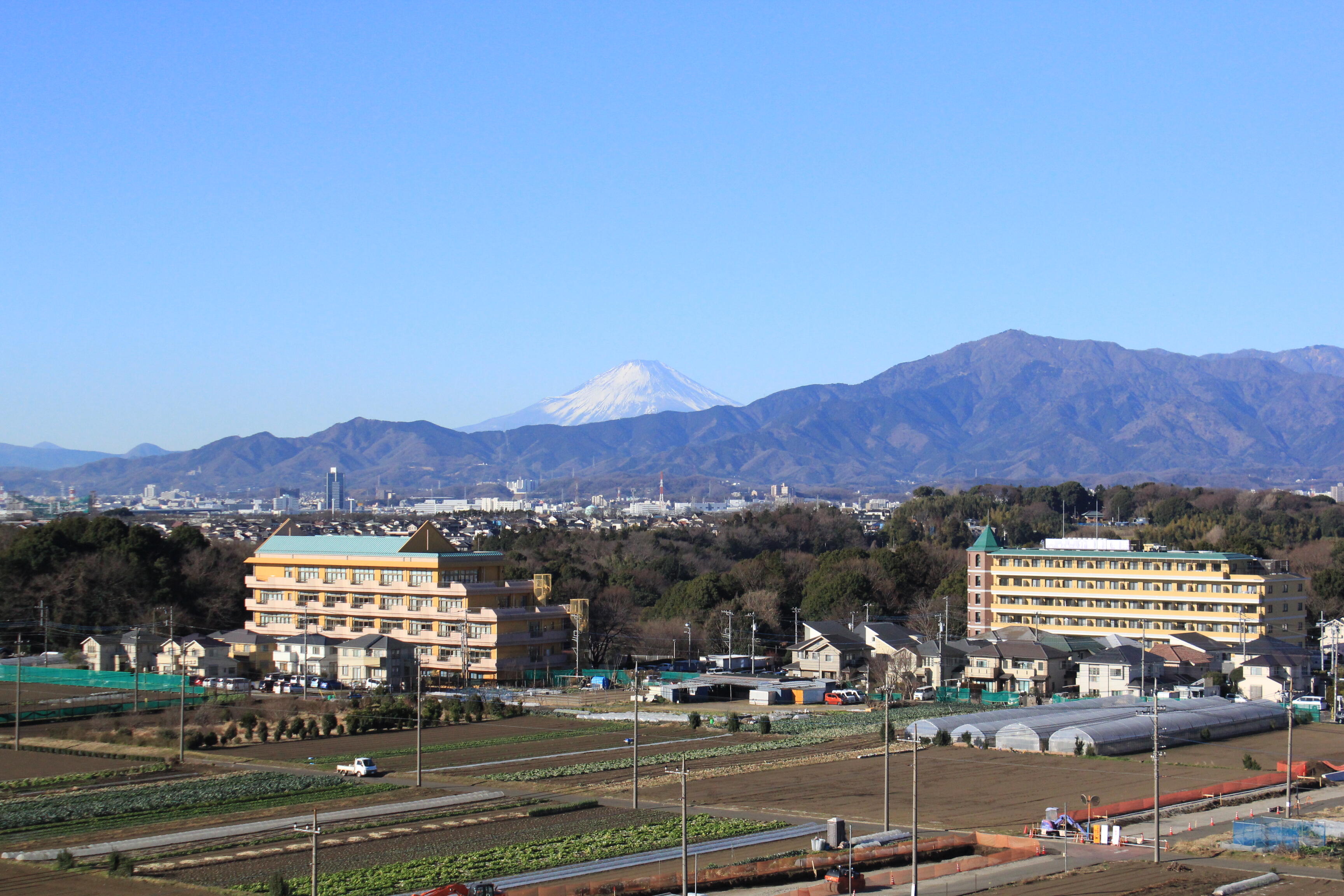 富士山・畑