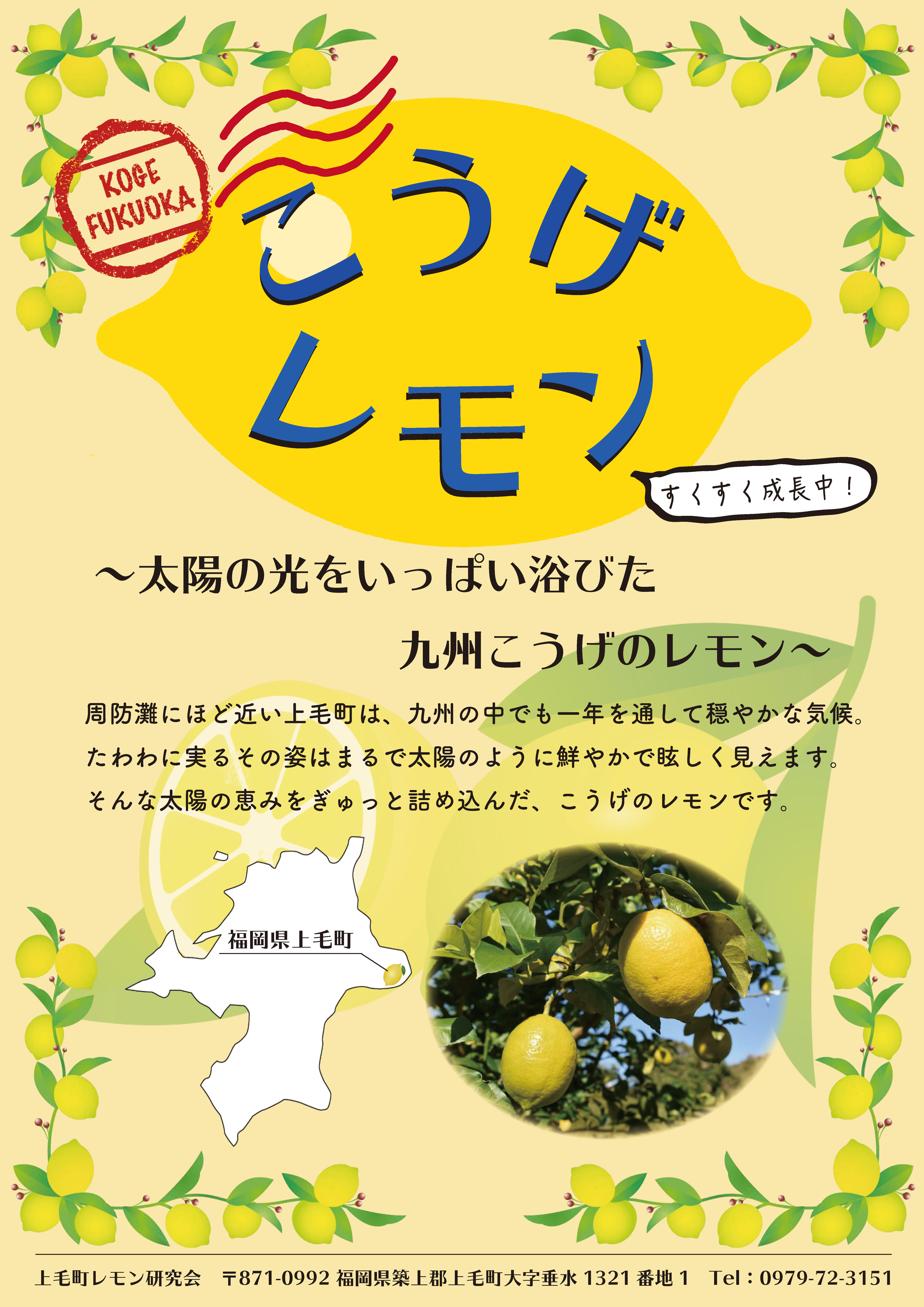 こうげレモン