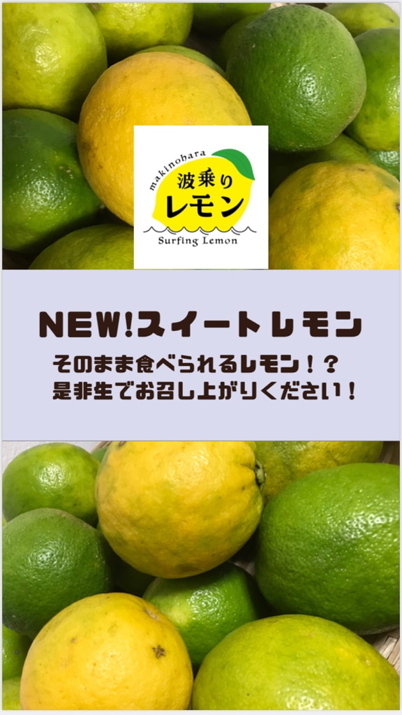 波乗りレモン