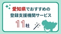 next-article-image