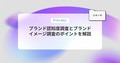 prev-article-image