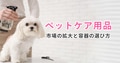 next-article-image