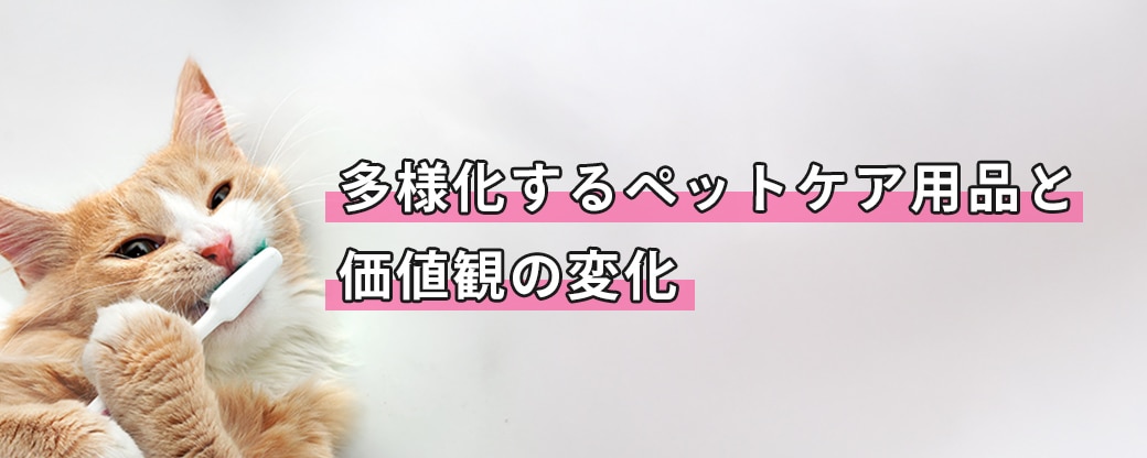 猫が寝そべりながら歯磨きをくわえています