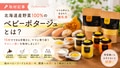 prev-article-image