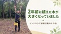 prev-article-image
