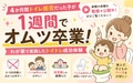 prev-article-image
