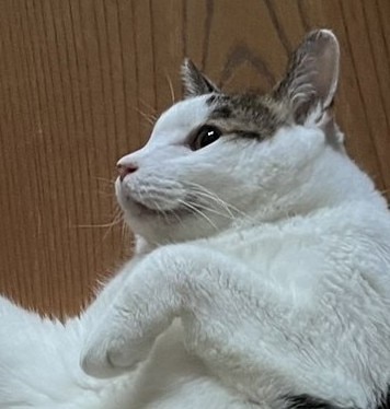えふ丸