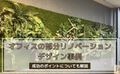 prev-article-image