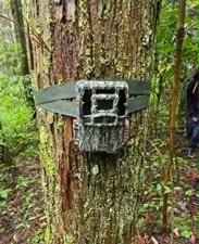 近寄ってきた生物を撮影するカメラ
