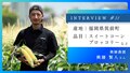 next-article-image