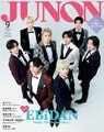 prev-article-image