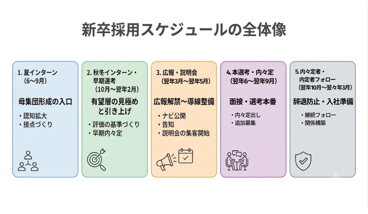 新卒採用スケジュールの全体像