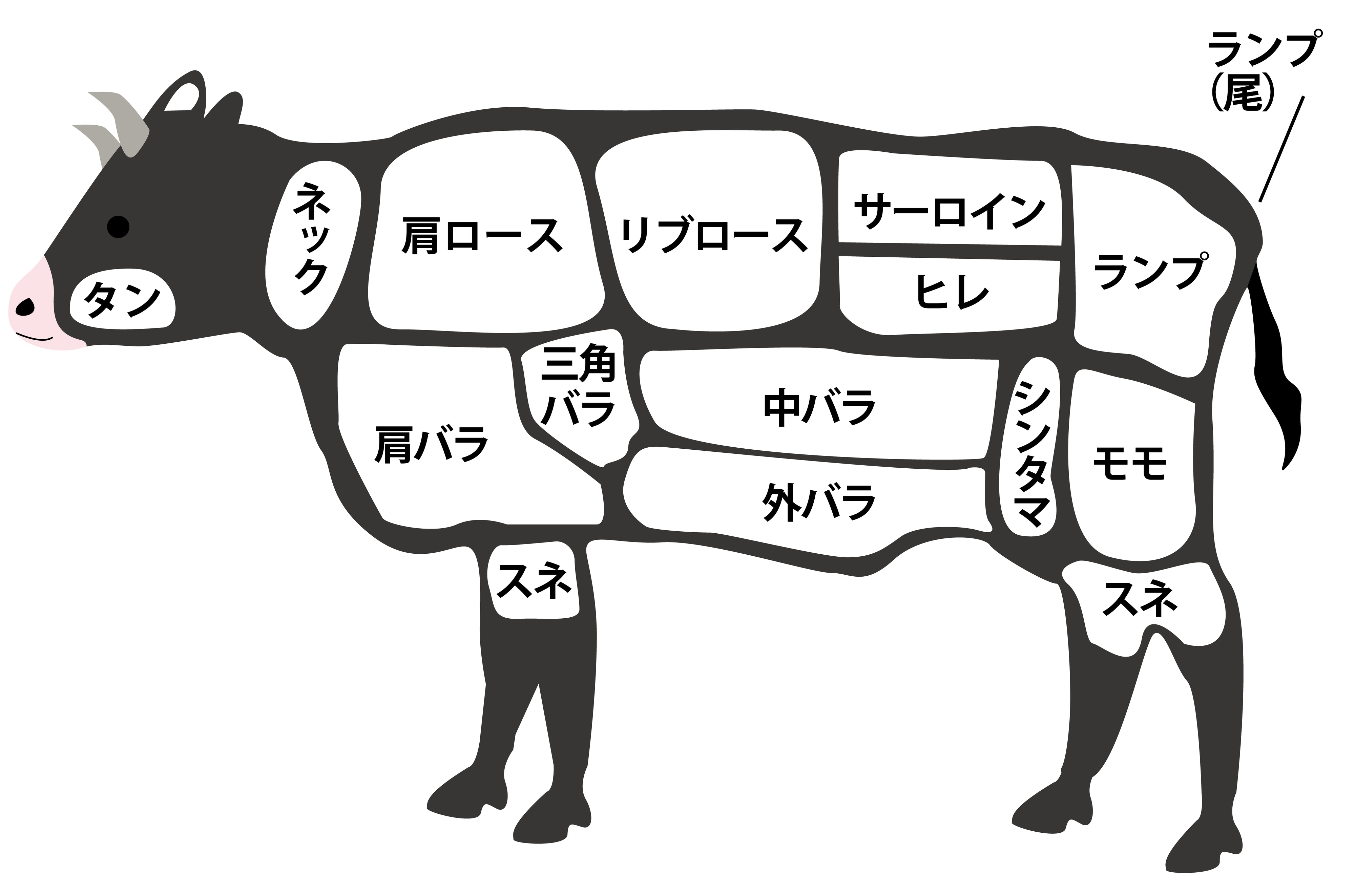 ホクビー　ロース　解説