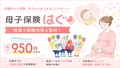 prev-article-image