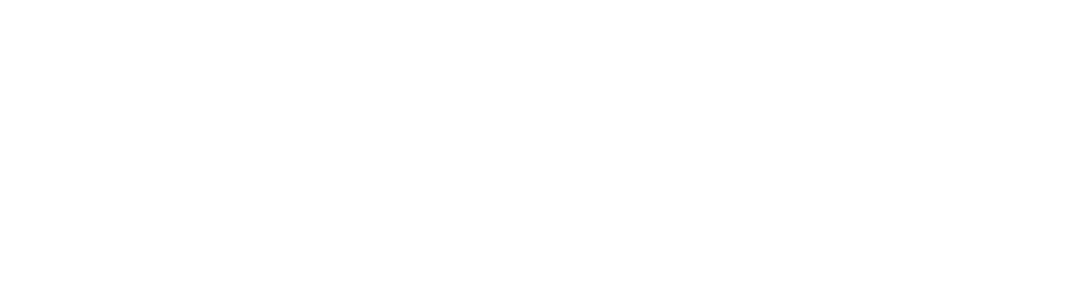 IntraVision_logo