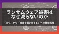 next-article-image