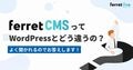 next-article-image