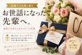 next-article-image