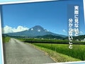 next-article-image