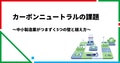 prev-article-image