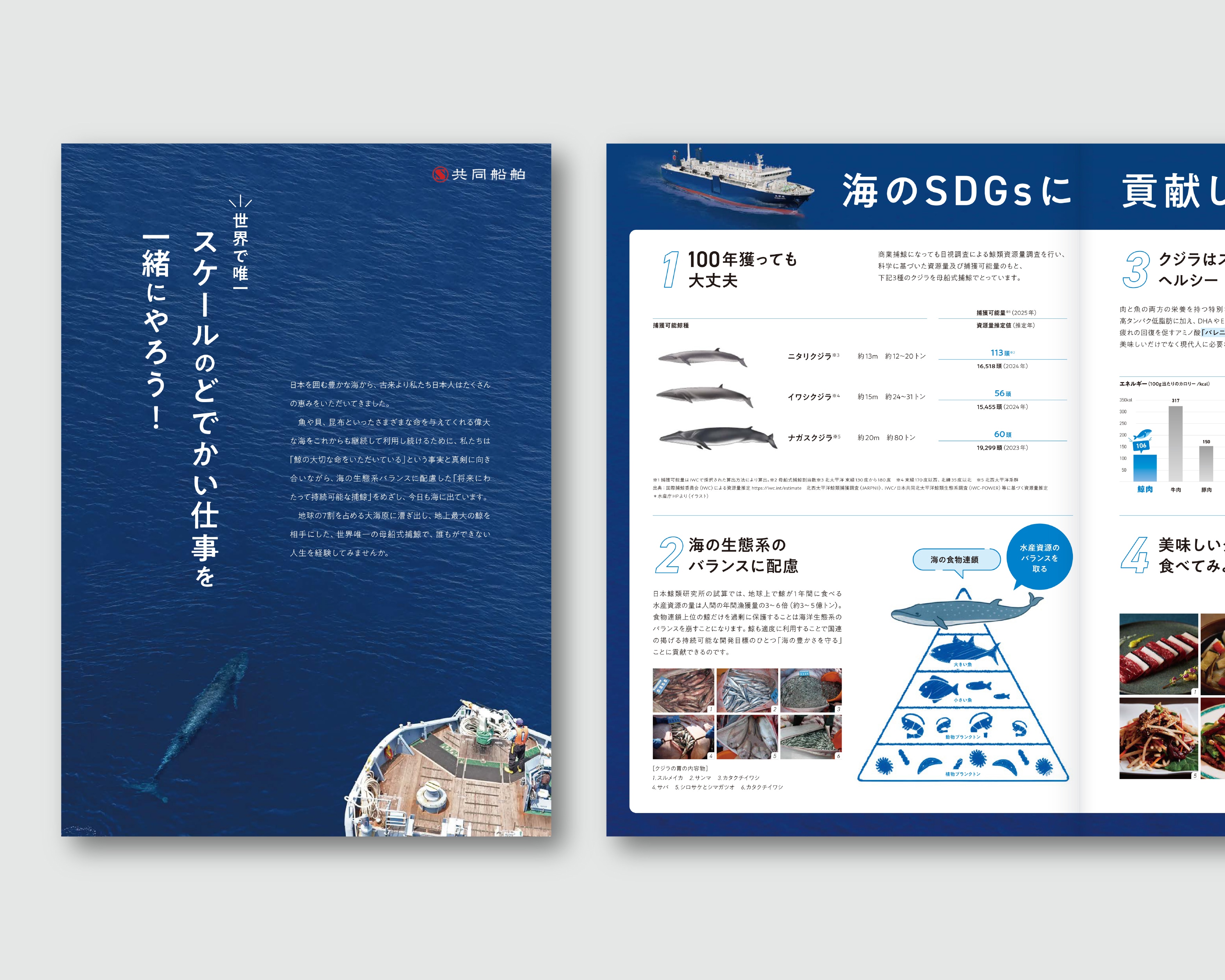 会社案内・サービス案内の制作実績