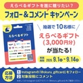 next-article-image