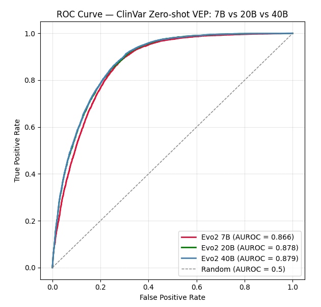 ROC Curve