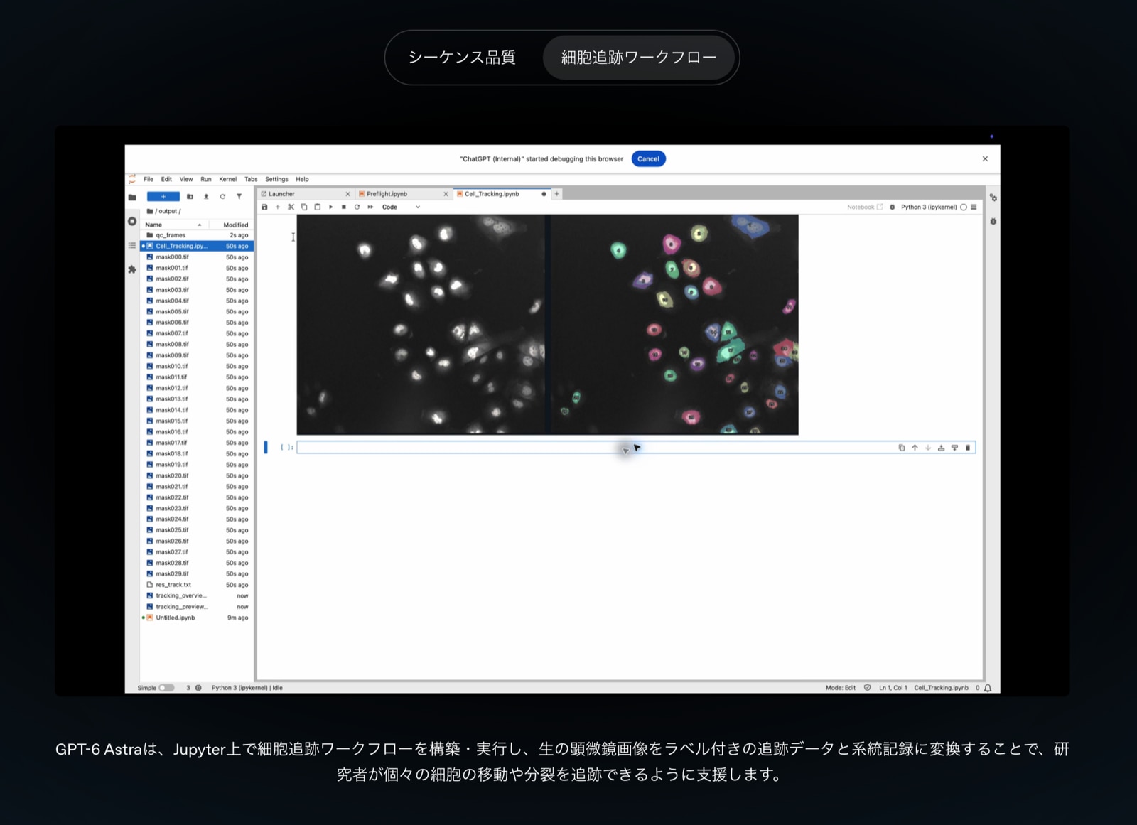 Jupyter上で細胞追跡ワークフローを組み、実行する例(出典: OpenAI発表ページ)