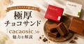prev-article-image