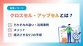 prev-article-image