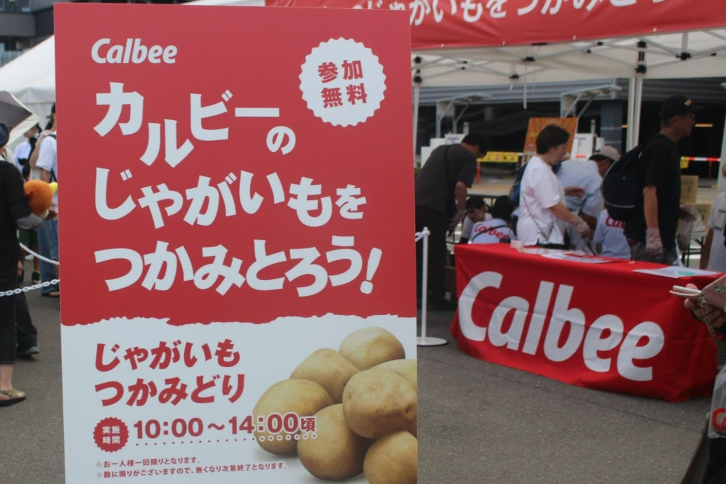 カルビー株式会社_じゃがいもつかみどり体験