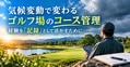 prev-article-image