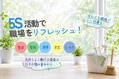next-article-image