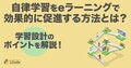 prev-article-image