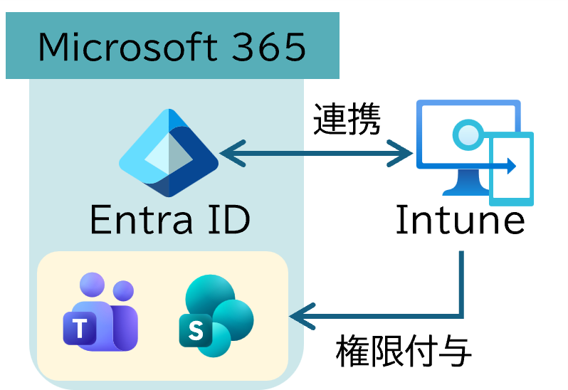 Microsoft365との高い親和性