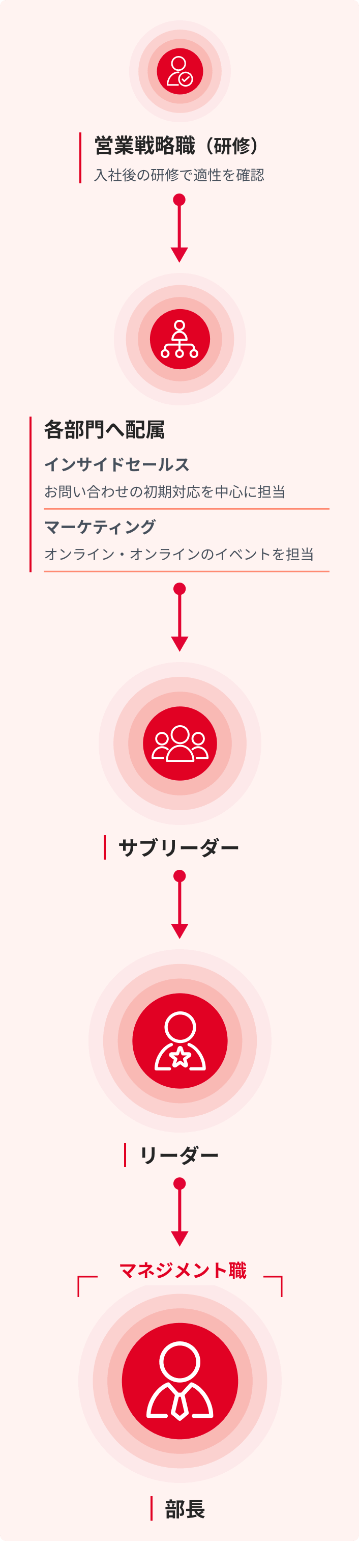 営業戦略職の図版