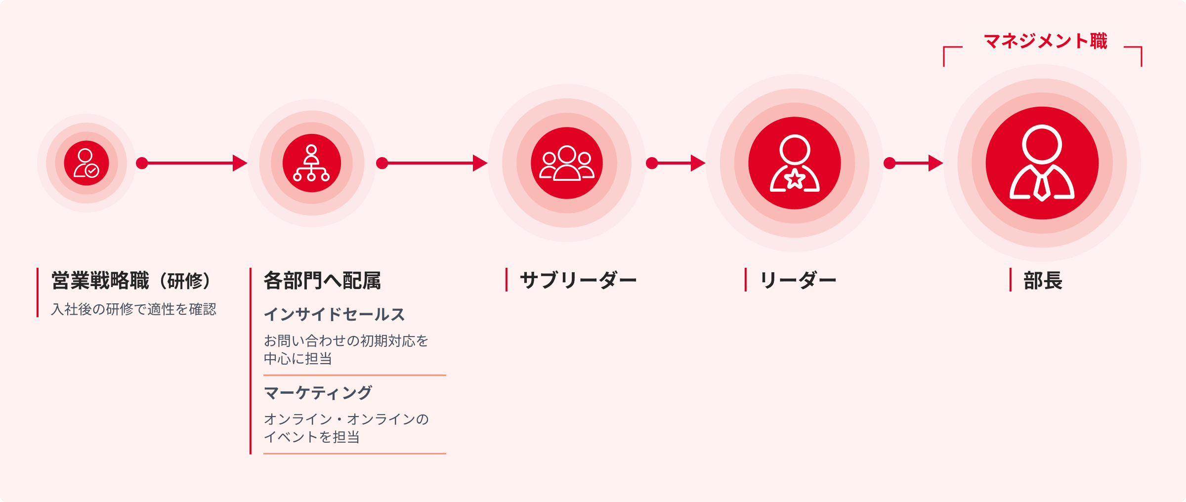 営業戦略職の図版