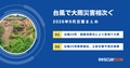 next-article-image