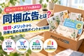 next-article-image