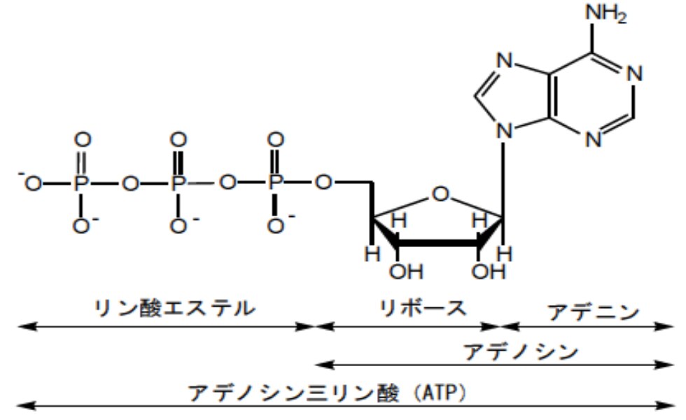 LP-KB-image27.png